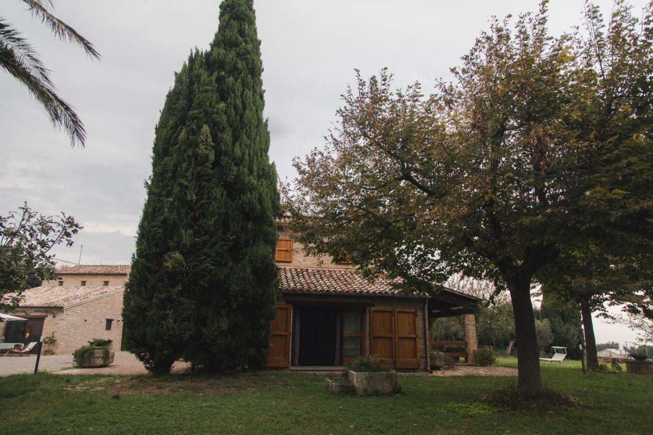 B&B Migliarino Чивитанова Марке Екстериор снимка